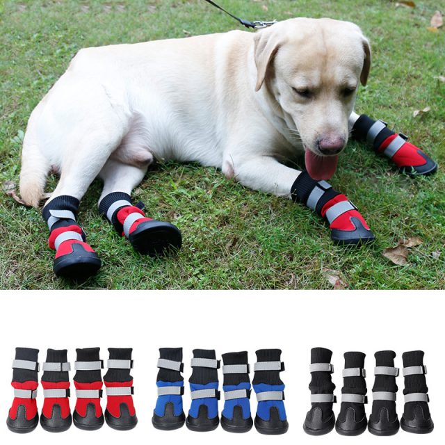 Protective Winter Boots For Pets