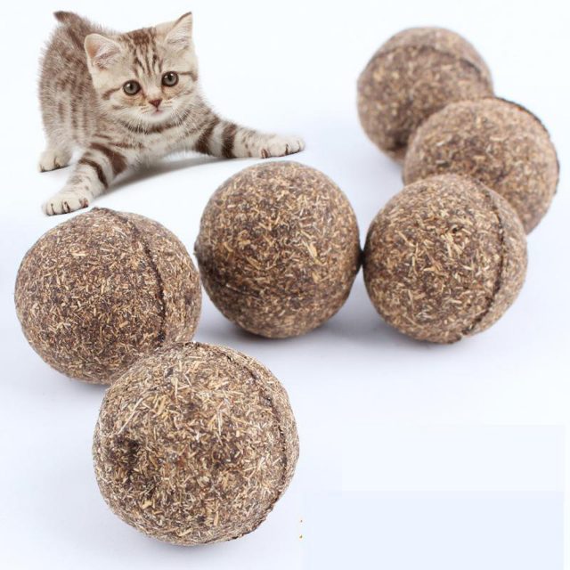 Natural Catnip Treat Ball