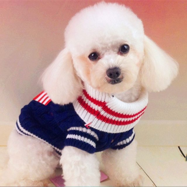 Warm Colorful Striped Knitted Dog’s Sweater