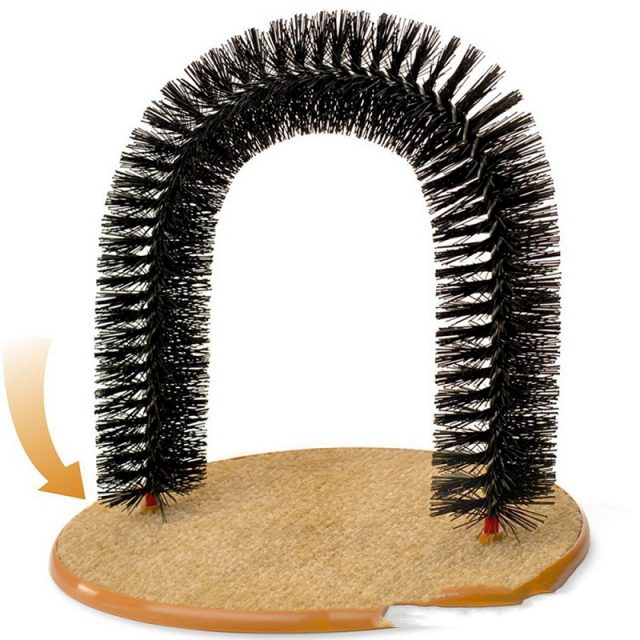 Cat’s Scratching Arch