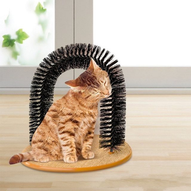 Cat’s Scratching Arch